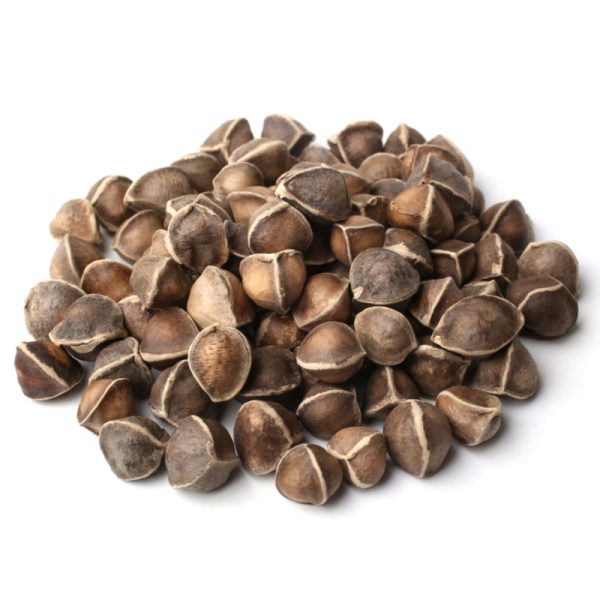 MORINGASEEDS_800x800.jpg