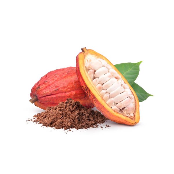 cacao-bean-pod-exoticfruitscouk-462610.jpg